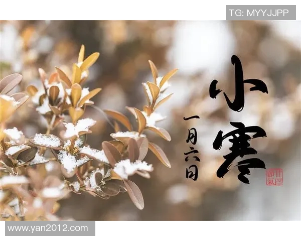 小寒时节情感纠葛加剧心灵创伤愈发明显的故事探讨