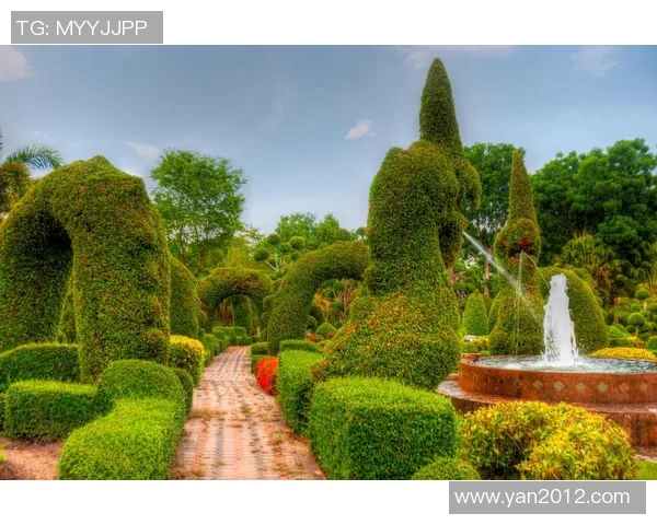 花花绕后探秘花海之旅感受自然之美与心灵的交融